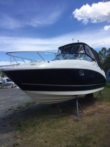 2010Searay260-2.JPG